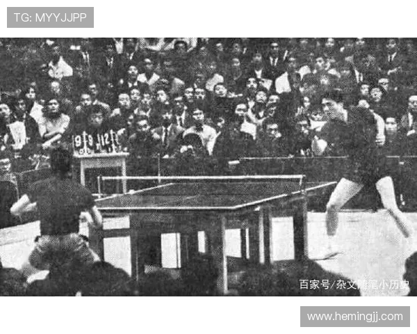 深圳乒乓球队的拼搏之路与欧锦赛荣耀背后的故事